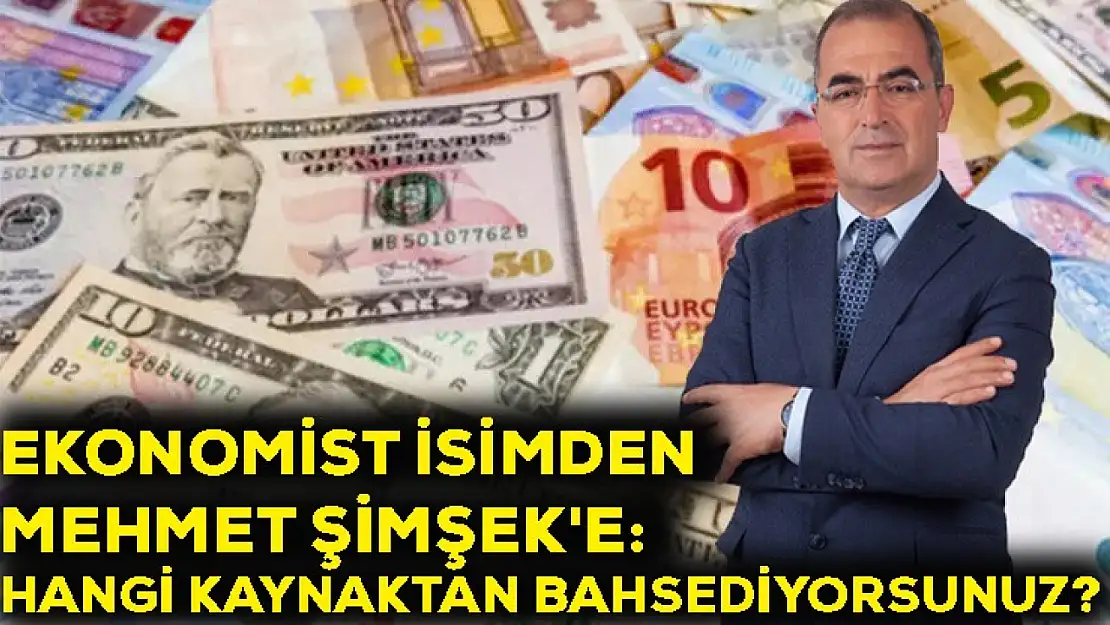 Ekonomist isimden Mehmet Şimşek'e: Hangi kaynaktan bahsediyorsunuz?