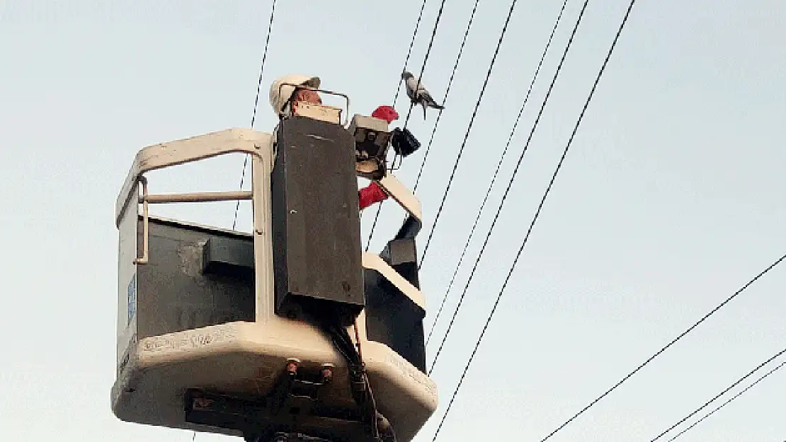 Elektrik tellerine yapışan güvercin kurtarıldı