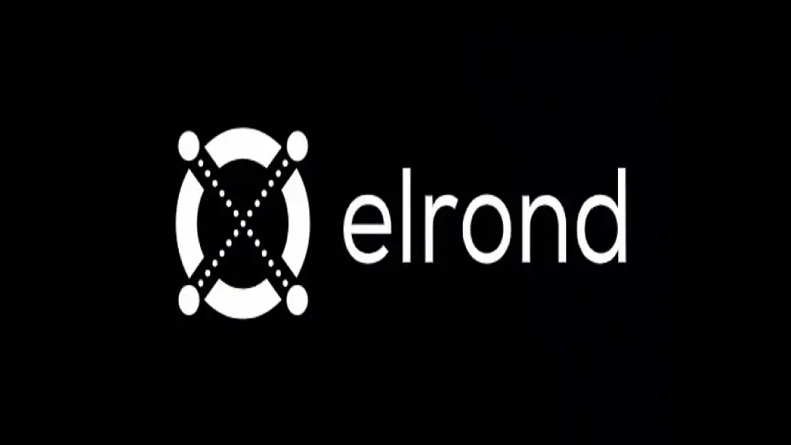 Elrond (EGLD) Coin: Yeni Nesil Blockchain Teknolojisi