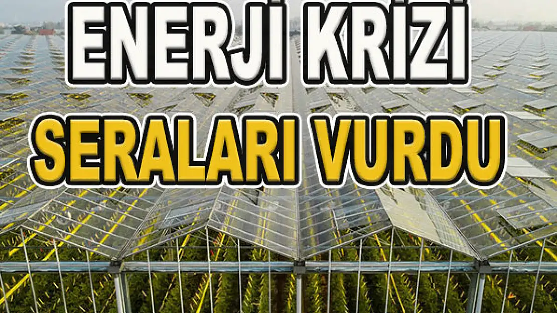 Enerji krizi seraları vurdu