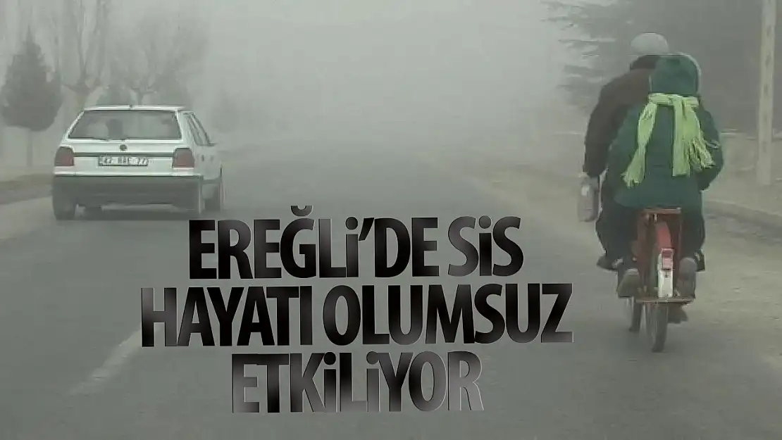 Ereğli'de yoğun sis hayatı olumsuz etkiliyor