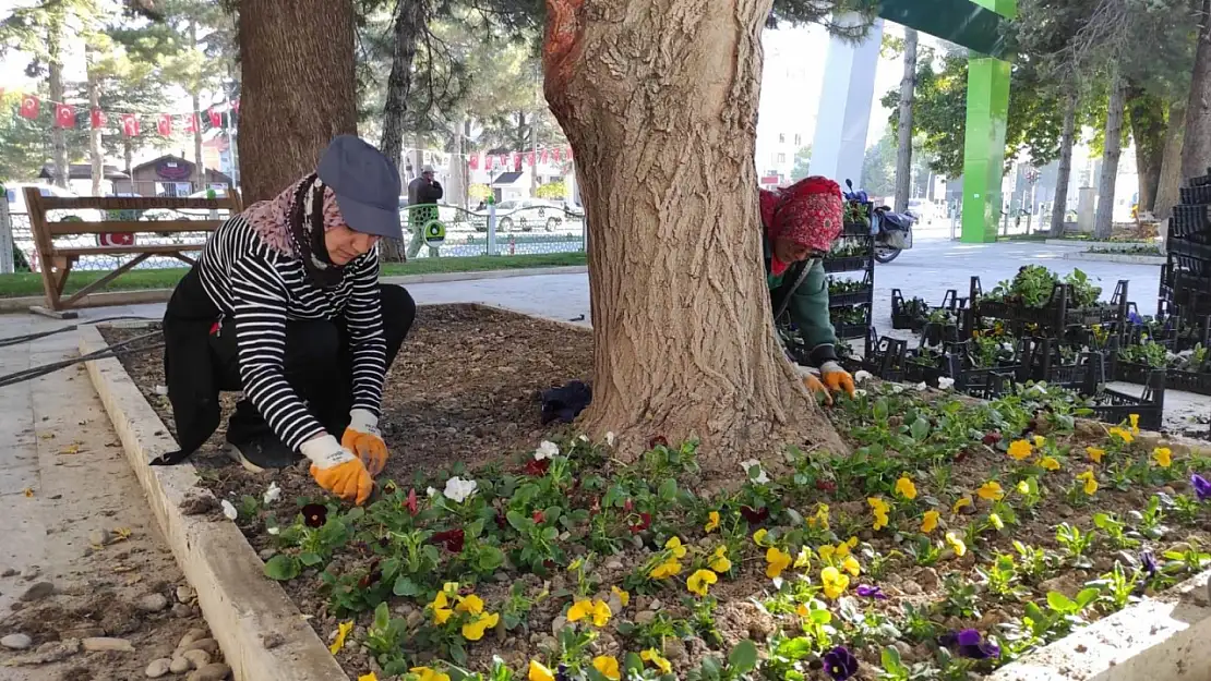 Ereğli sonbahar aylarında çiçek açacak!