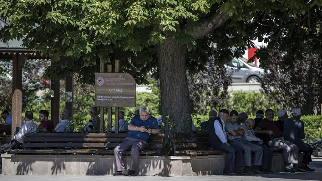 Erzurum ve Kars'ta sıcaklık 30 derecenin üzerinde