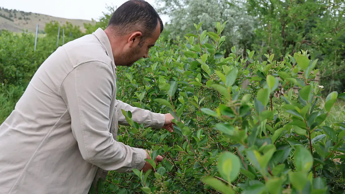 Eşinin tedavisine destek olurken iş sahibi oldu