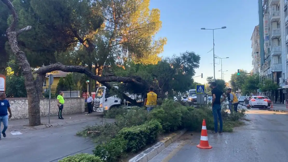 Fazla ağırlığa dayanamadı yola devrildi