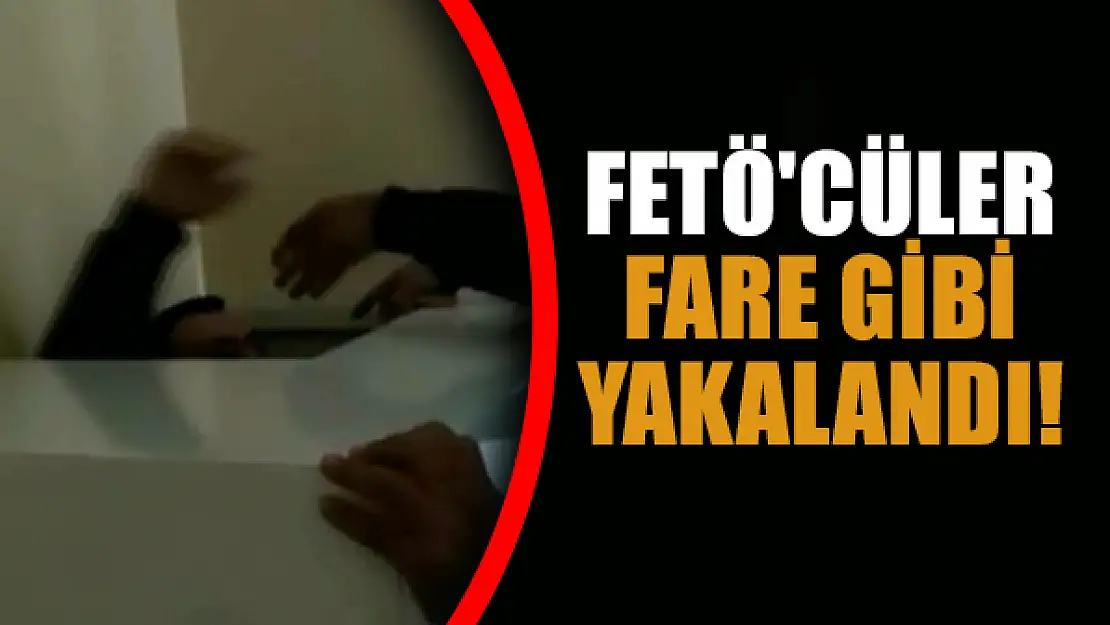 FETÖ'cüler fare gibi yakalandı