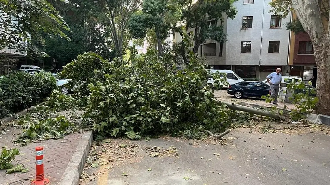 Fırtına Ankara'da etkili oldu!