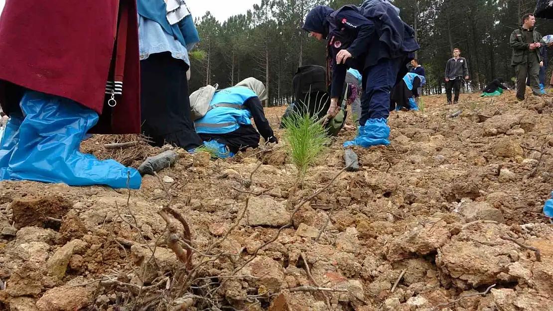 Gazze Basın Şehitleri Hatıra Ormanı için fidan dikim töreni düzenlenecek