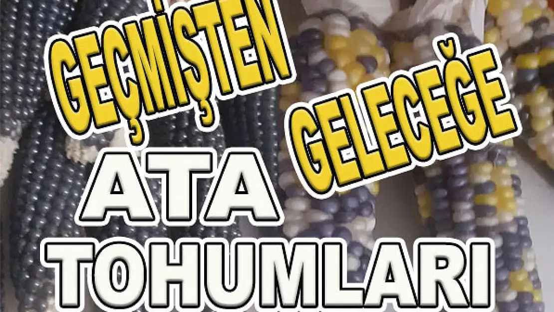 Geçmişten geleceğe ata tohumları