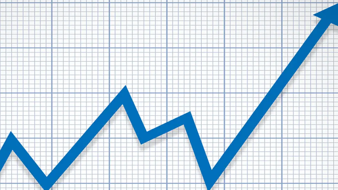 Gelir Dağılımı İstatistikleri, 2022