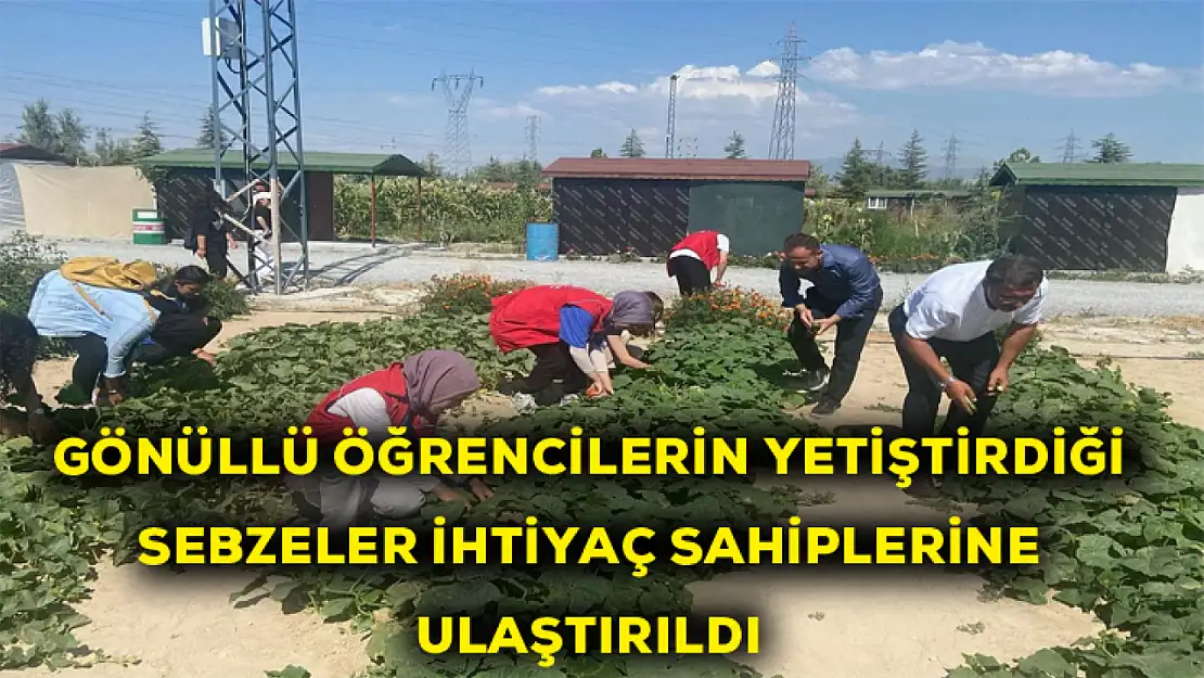 Gönüllü öğrencilerin yetiştirdiği sebze ve meyveler ihtiyaç sahiplerine ulaştırıldı