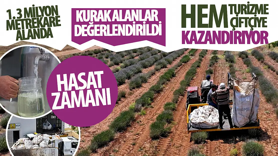 Güneysınır'da hasat zamanı