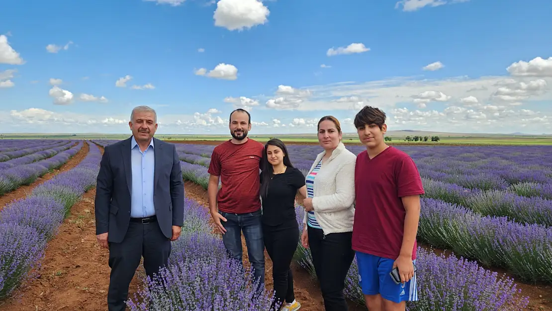 Güneysınır'da tarlalar mor renge dönmeye başladı