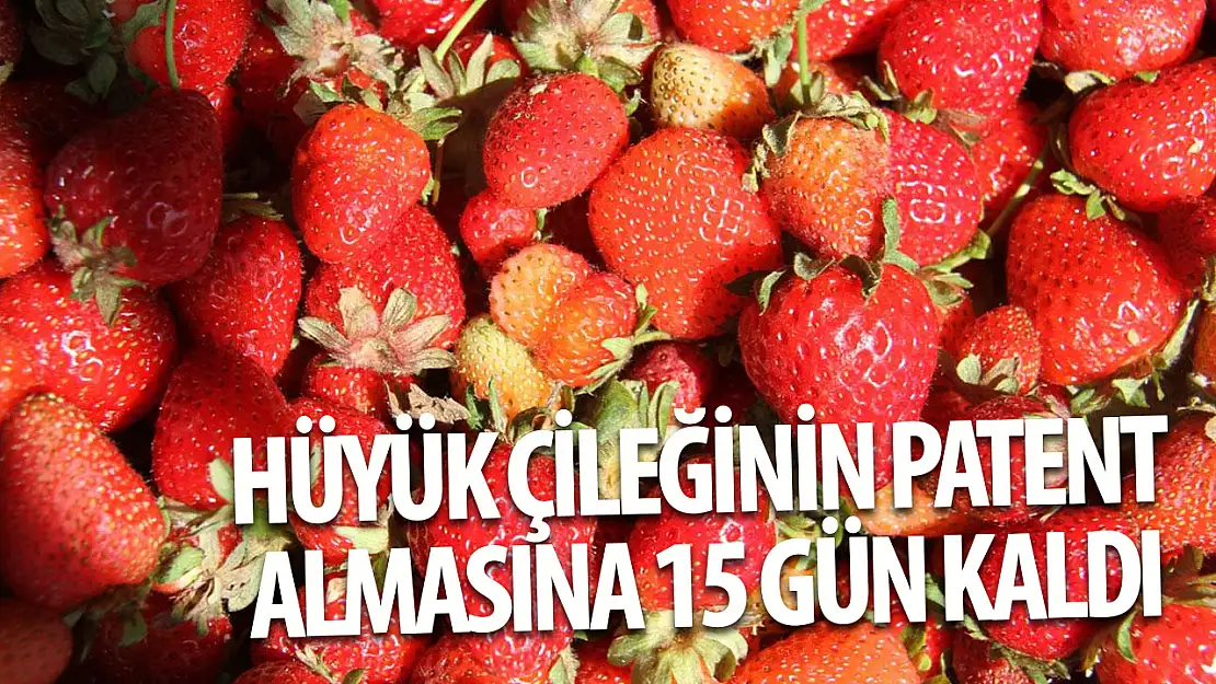 Hakimiyet Gazetesi' nden Hüyük Belediye Başkanı Sadık Sefer'e tebrik ziyareti