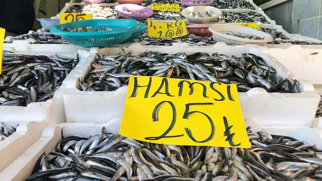 Hamside kampanya yaptı: Kilosu 25 TL!