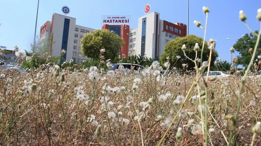 Hastaneden kaçan psikiyatri hastası dehşet saçtı