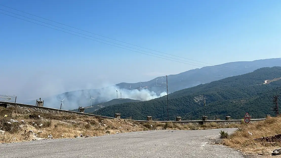 Hatay'da orman yangını!