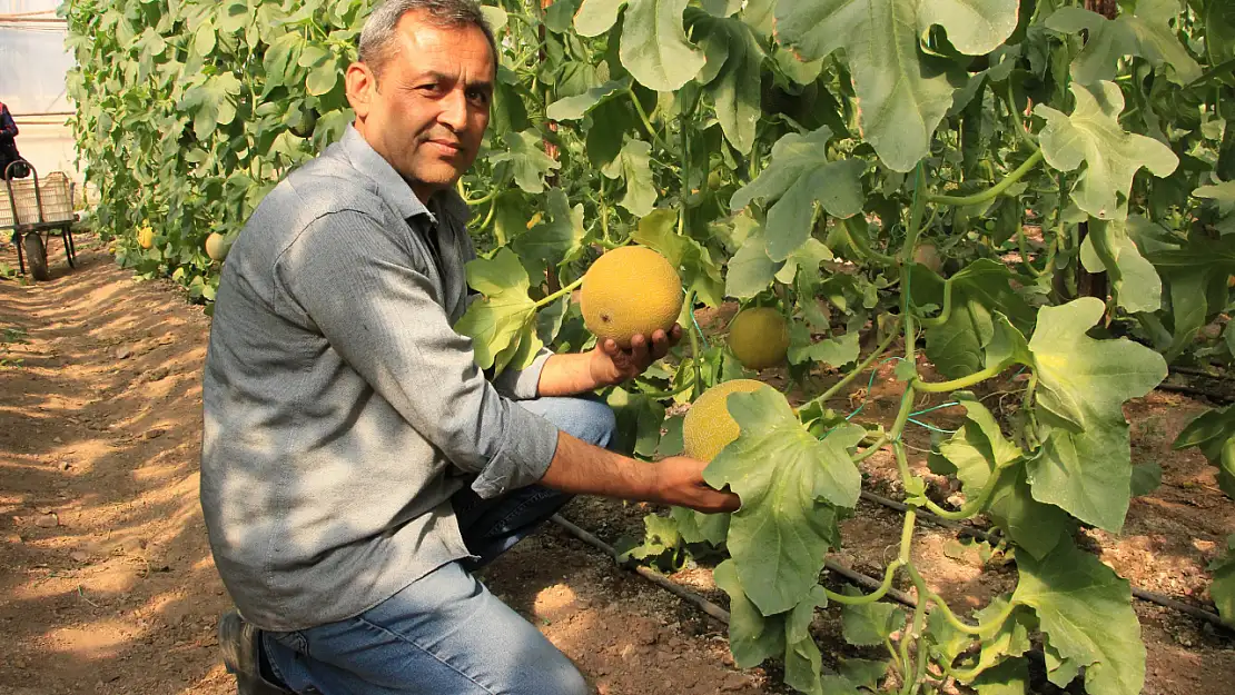 Havaların ılık gitmesi, kavuncuların yüzünü güldürdü