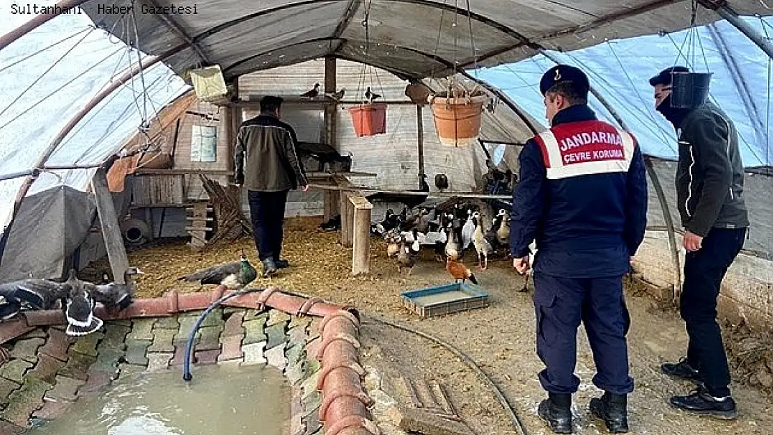 Hayvan ticareti yapan şahıs yakalandı!