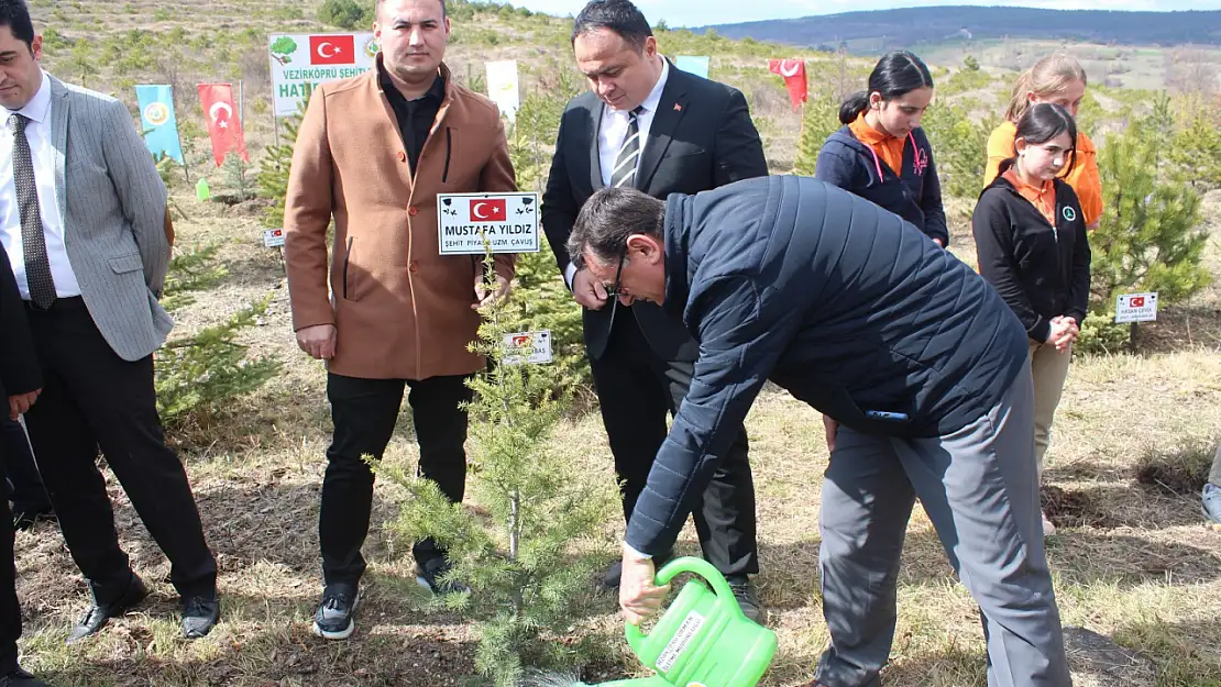 Her şehit için bir fidan!