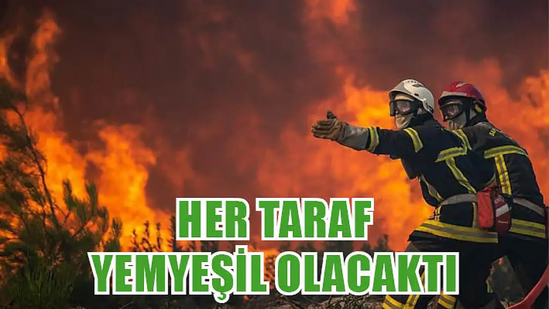 Her taraf yemyeşil olacaktı