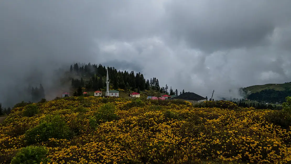 Hıdırnebi Yaylası'ndaki Balıklı Göl görenleri hayran bırakıyor