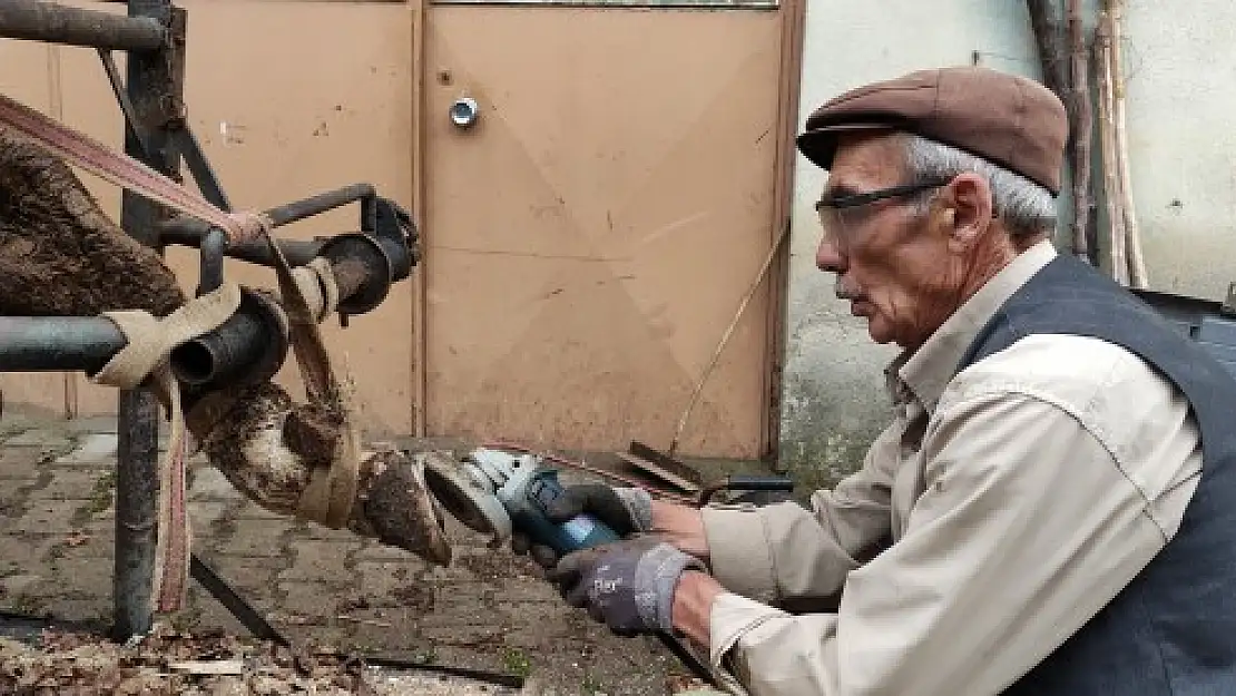 İneklere öyle bir şey yaptı ki şimdi süt fışkırıyor! Herkes bu adamı arıyor