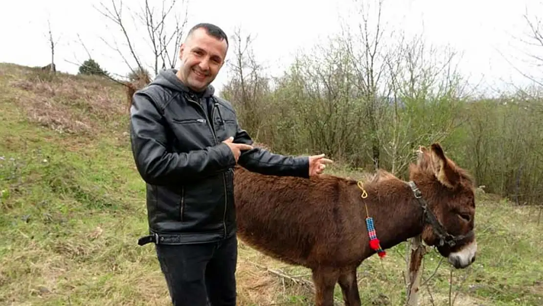 İnternette satışa çıkan eşek fenomen oldu