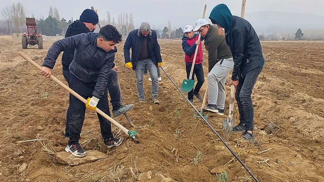 İvriz Lisesi Lavanta Üretimiyle Ön Plana Çıkacak