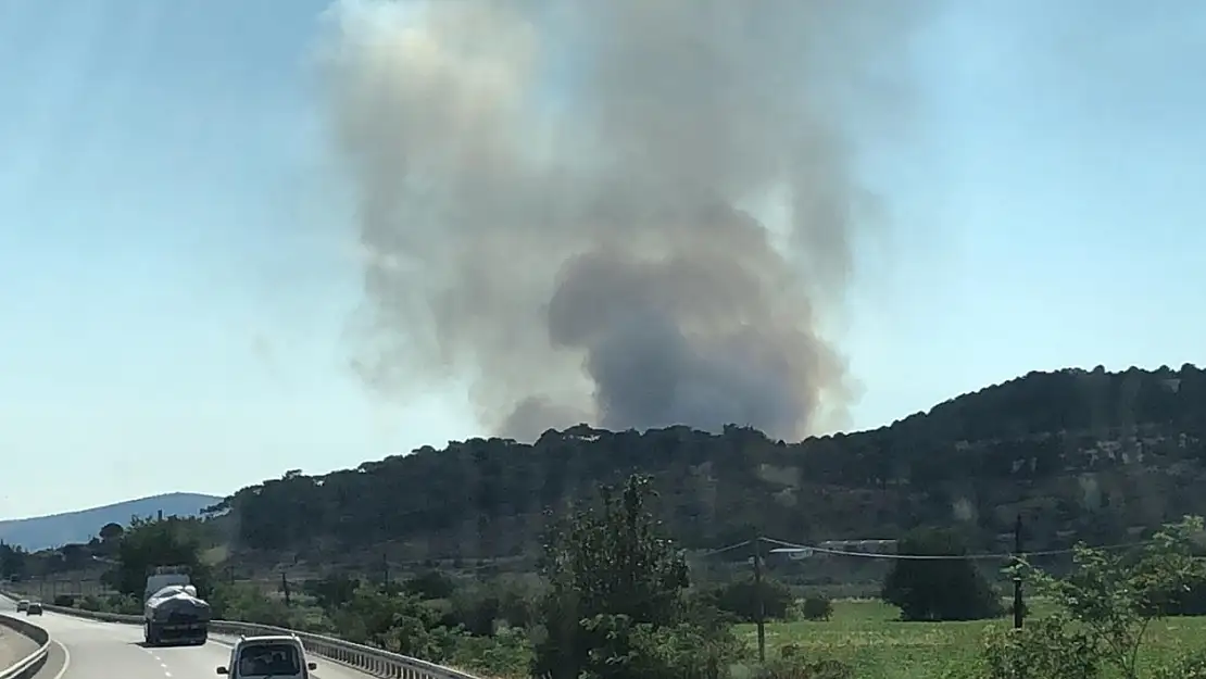 İzmir'de makilik ve otluk alanda yangın