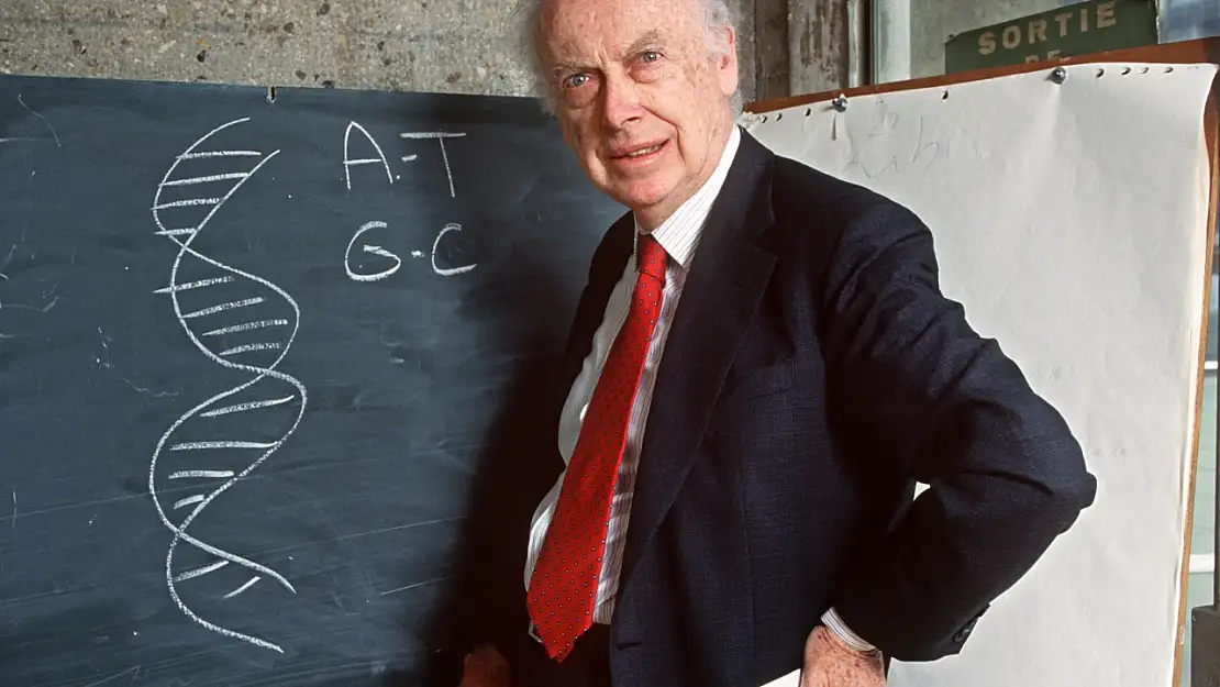 James Watson kimdir? James Watson DNA'nın çift sarmal yapısını nasıl keşfetti?