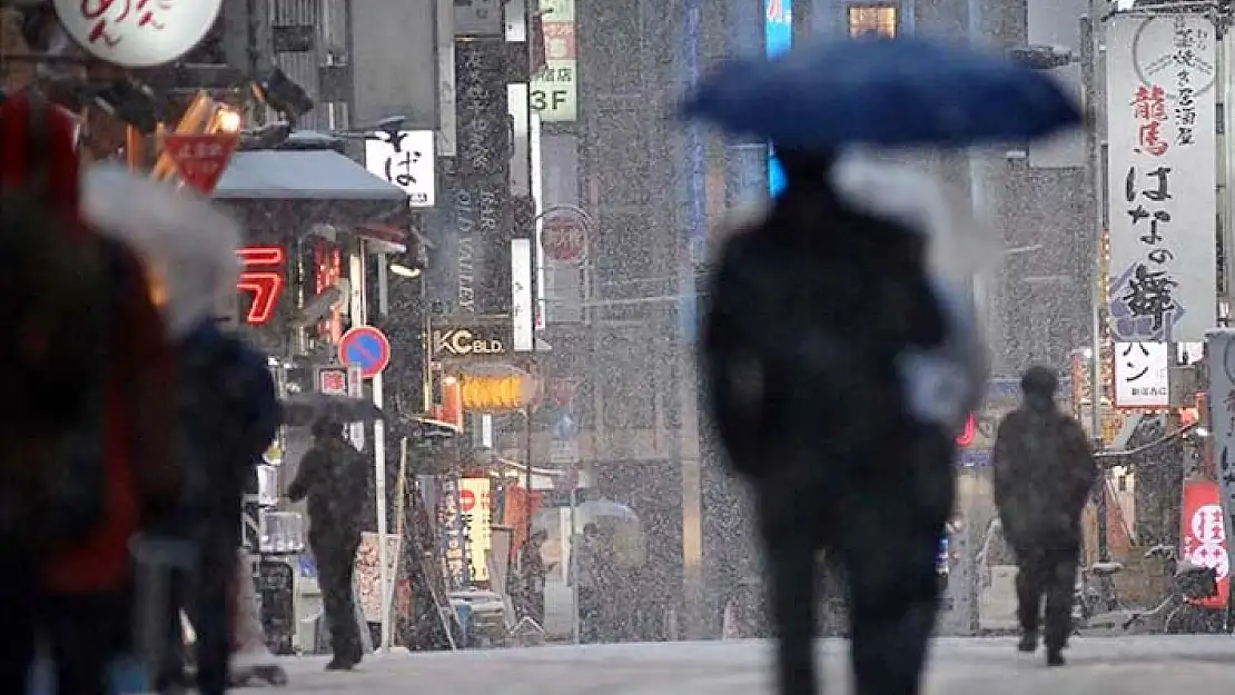 Japonya'da yoğun kar yağışı nedeniyle can kaybı sayısı 14'e yükseldi