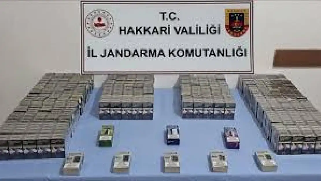 Kaçakçılık operasyonu kapsamında 25 zanlı hakkında işlem yapıldı