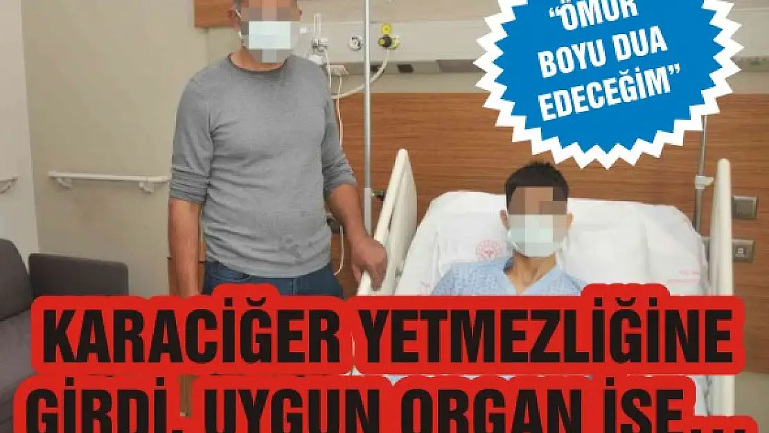 Karaciğer yetmezliğine girdi, uygun organ ise…