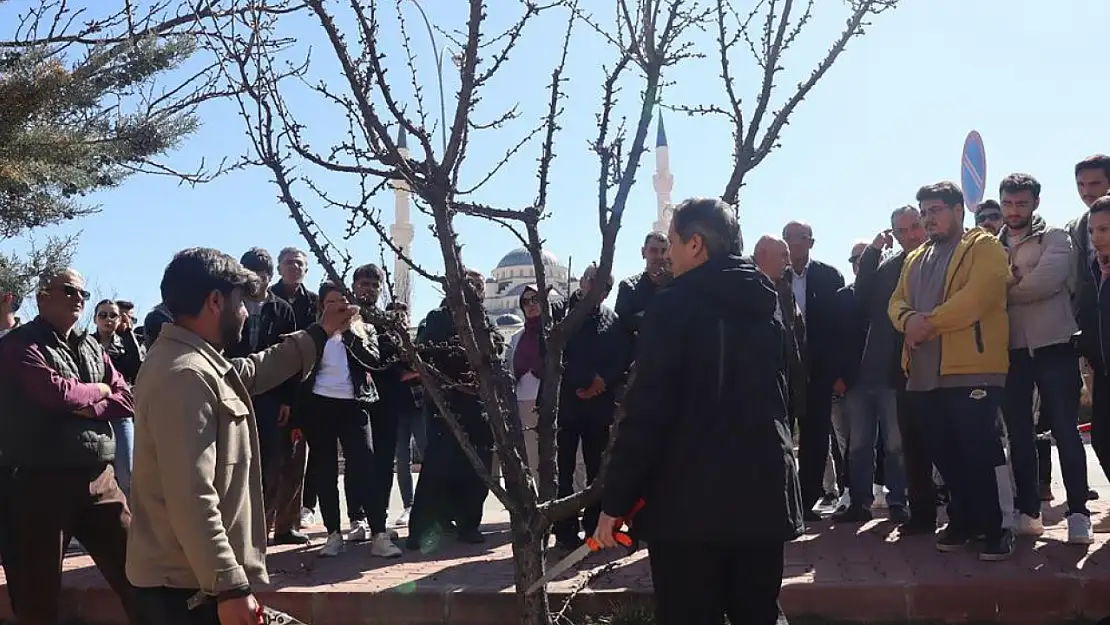 Karaman'da akademisyenlerden çiftçilere budama eğitimi!