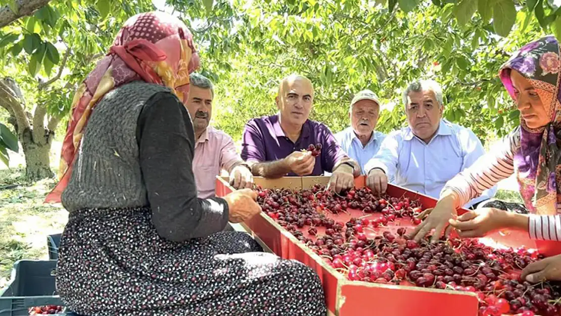 Karaman Ziraat Odası Başkanı Bayram, kiraza 15 lira fiyat veriyorlar