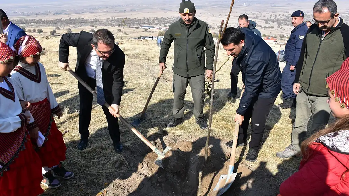 Karapınar Yeşilyurt'ta 500 adet ceviz fidanlığı oluşturuldu