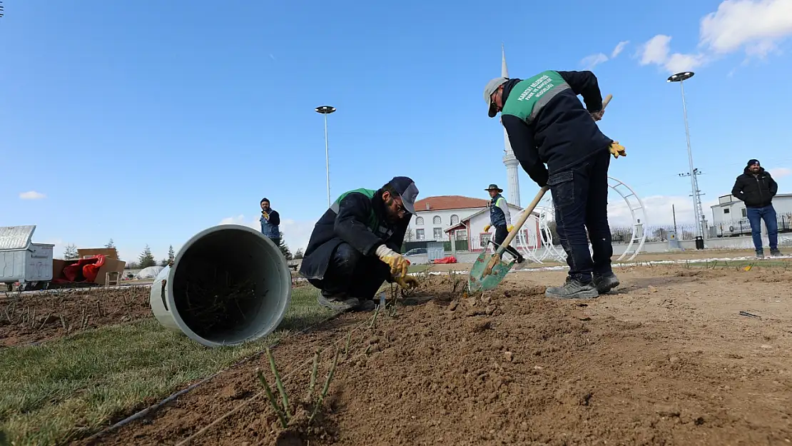 Karatay Gül Bahçesi'nde sona yaklaşıldı