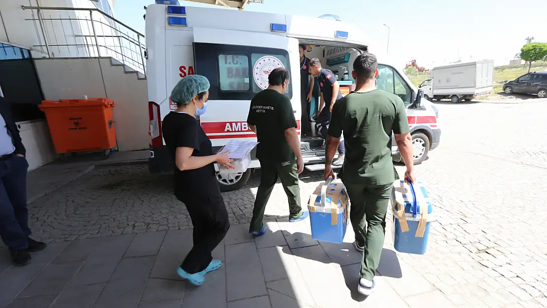 Kars AFAD çalışanı Sefa Türkkahraman, eşinin organlarını bağışlayarak hayat kurtardı