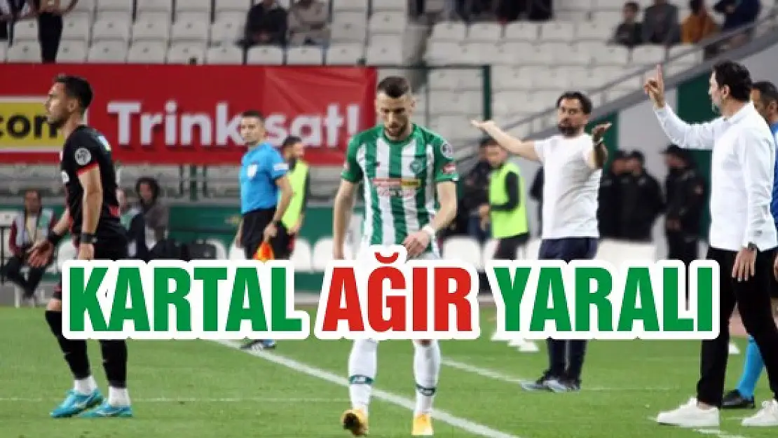 Kartal ağır yaralı