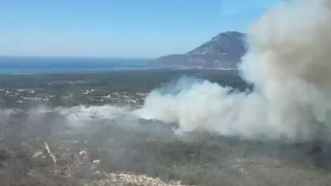 Kaş'taki yangın yeniden başladı