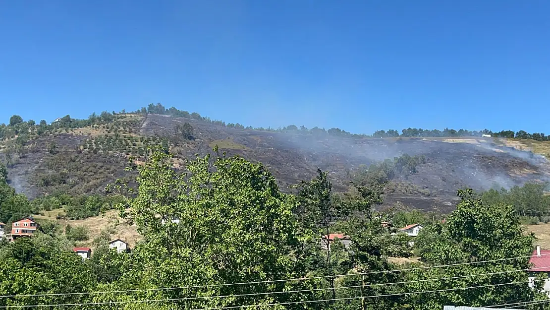 Kastamonu'nun Cide ilçesi'nde çıkan orman yangınına müdahale devam ediyor