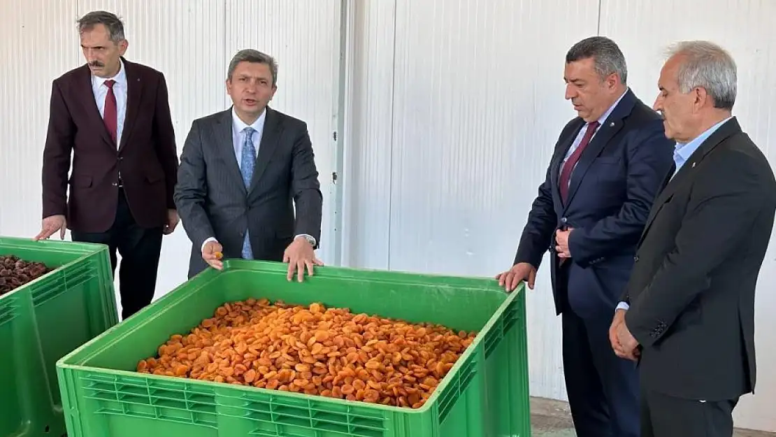 Kayısıda 2023 yılı tahmini rekoltesi 77 bin 170 ton