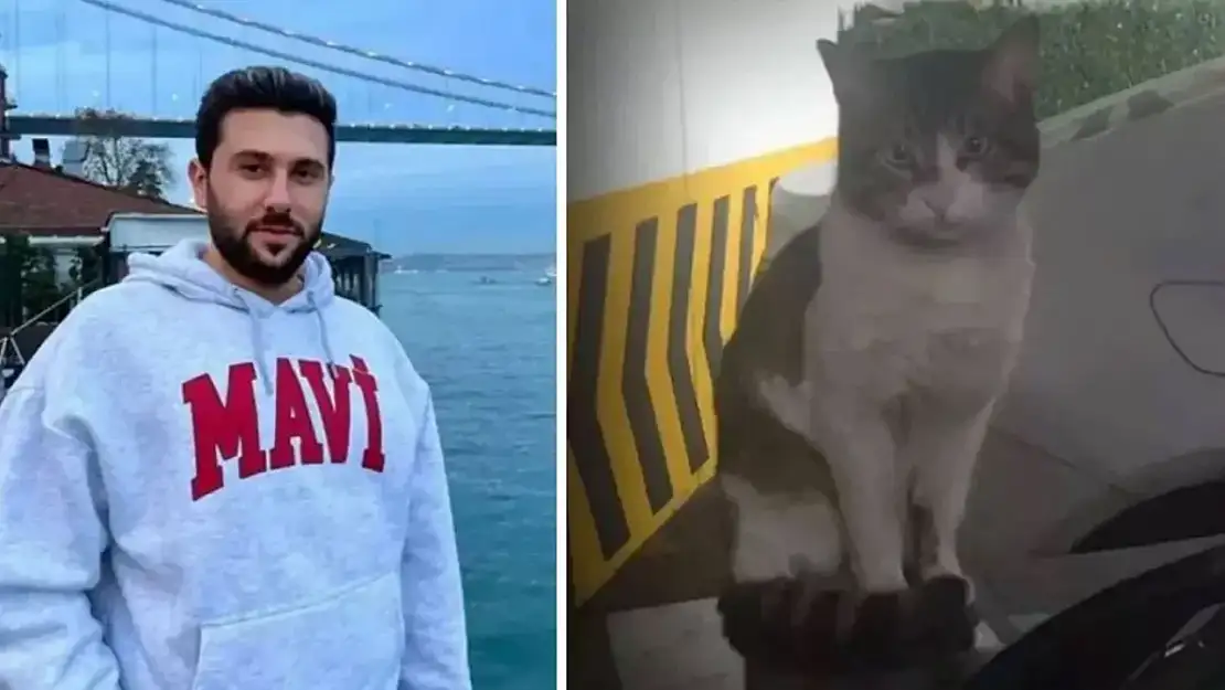 Kedi Eros'un davasında yeni gelişmeler…