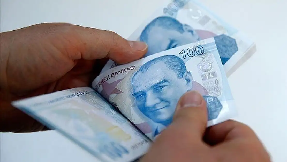 Kırsalda yaşayan gençlere bu yıl 101,1 milyon liralık hibe ödemesi yapıldı