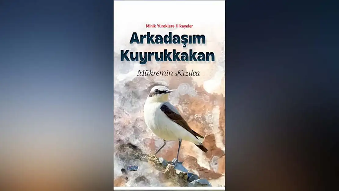 Kızılca'nın Yeni Kitabı Yayımlandı!