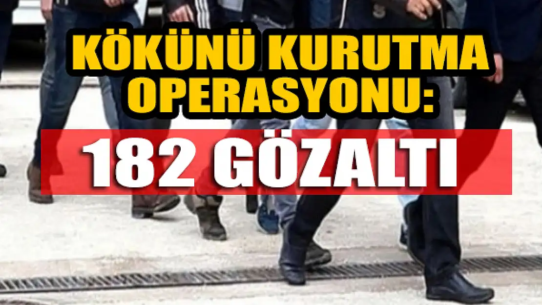 Kökünü Kurutma Operasyonu: 182 gözaltı