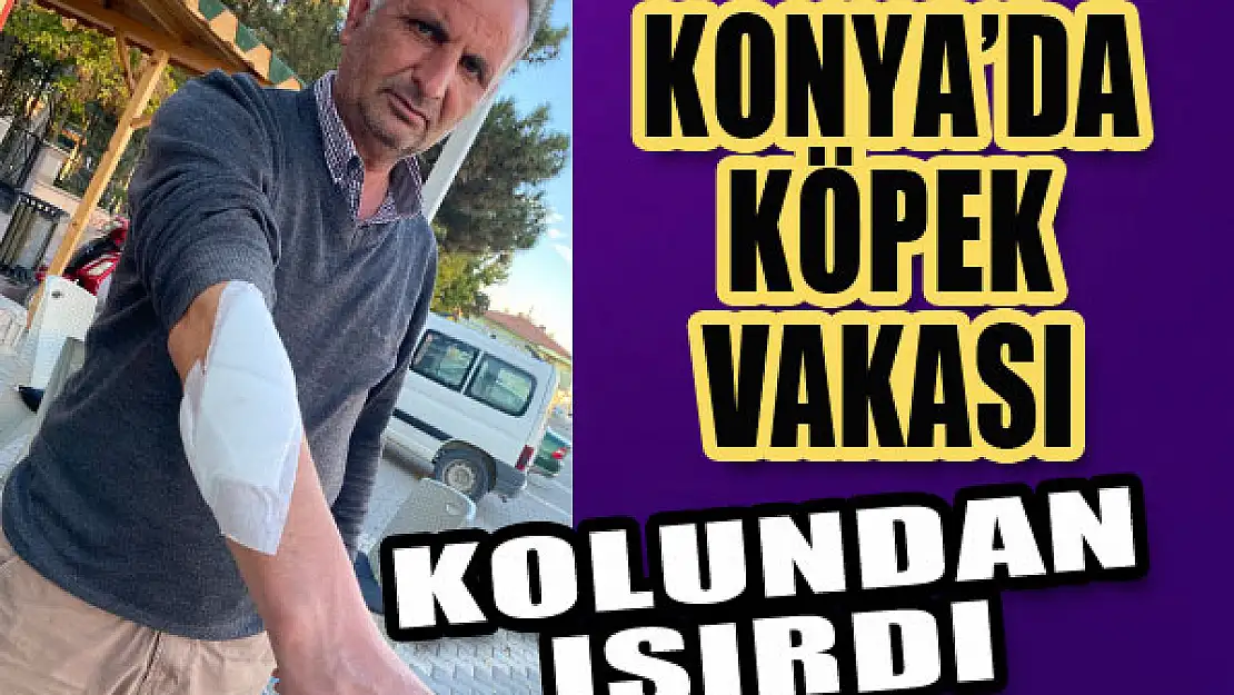 Kolundan ısırdı...