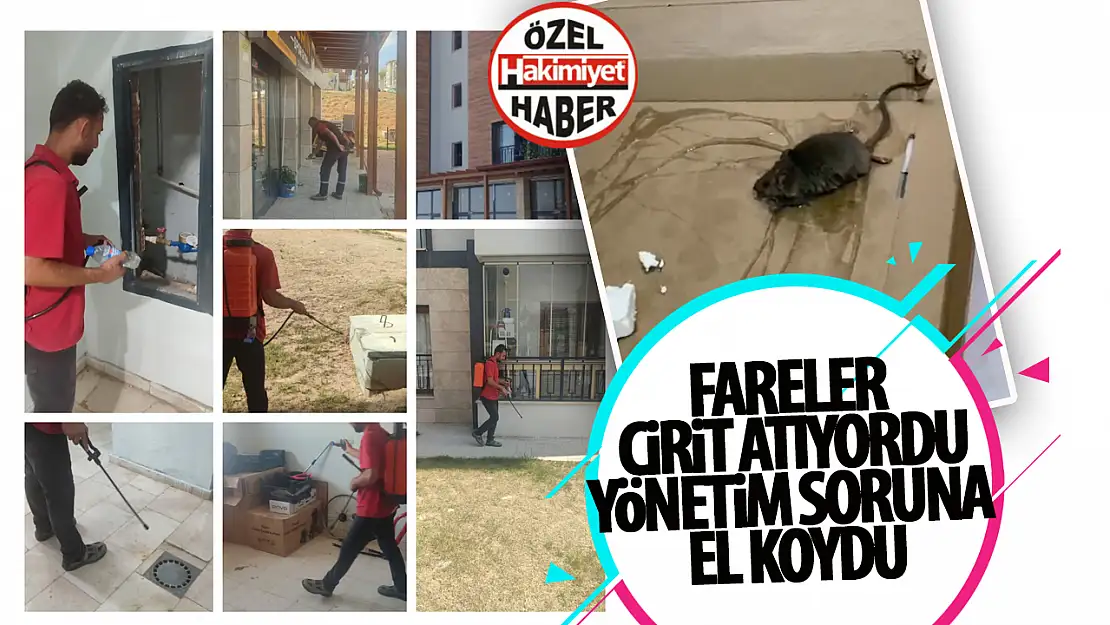 Konya Ardıçlı TOKİ'de Haşere Sorununa Karşı İlaçlama Yapıldı