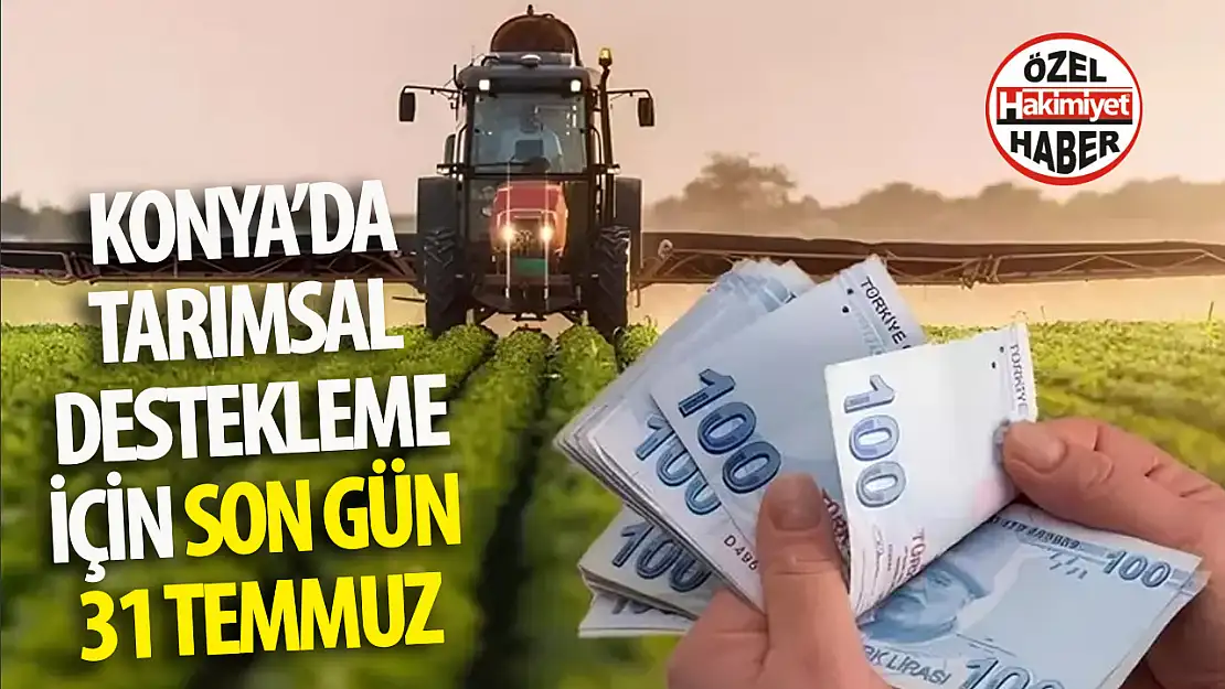 Konya Büyükşehir Belediyesi'nden Çiftçilere P Hibe Destekli Fidan ve Fide Desteği: Son Gün 31 Temmuz